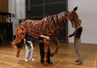 War Horse